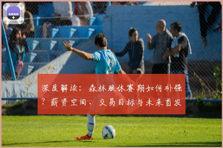 深度解读：森林狼休赛期如何补强？薪资空间、交易目标与未来首发阵容预测